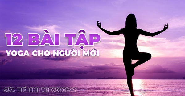 12 bài tập Yoga cho người mới bắt đầu cần biết