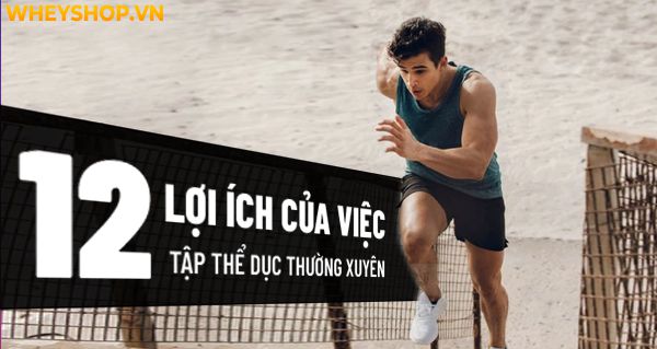 12 lợi ích của việc tập thể dục thường xuyên