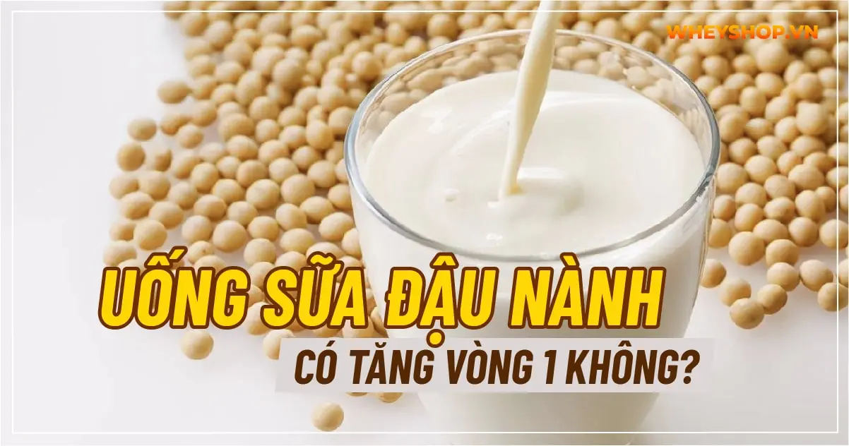 Uống sữa đậu nành có tăng vòng 1 không?