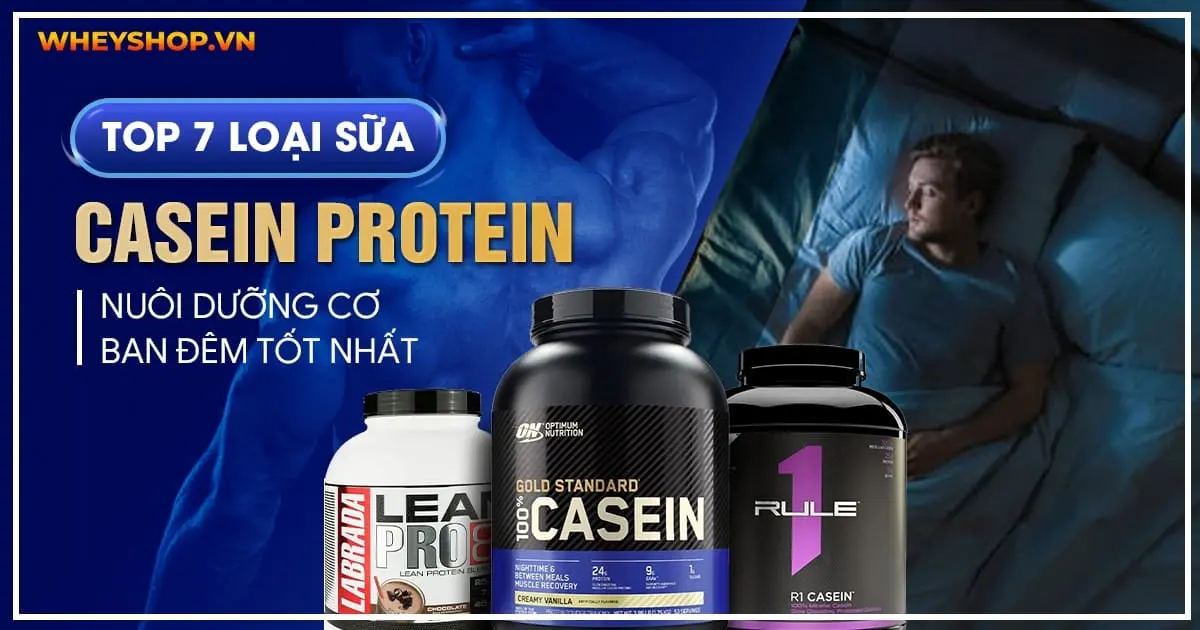 Top 7 loại sữa Casein protein nuôi dưỡng cơ ban đêm tốt nhất