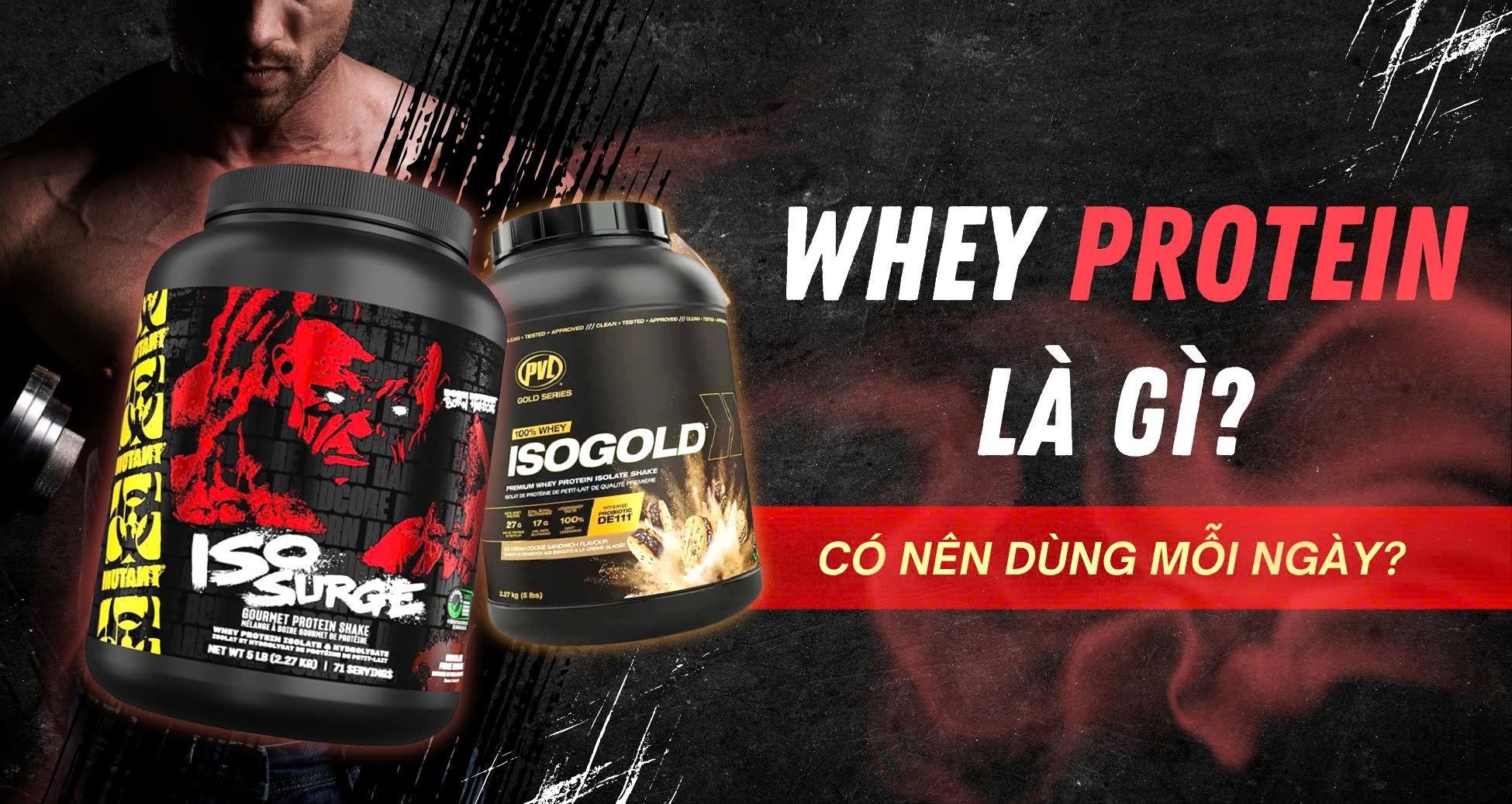 Whey Protein là gì? Có nên dùng Whey mỗi ngày?