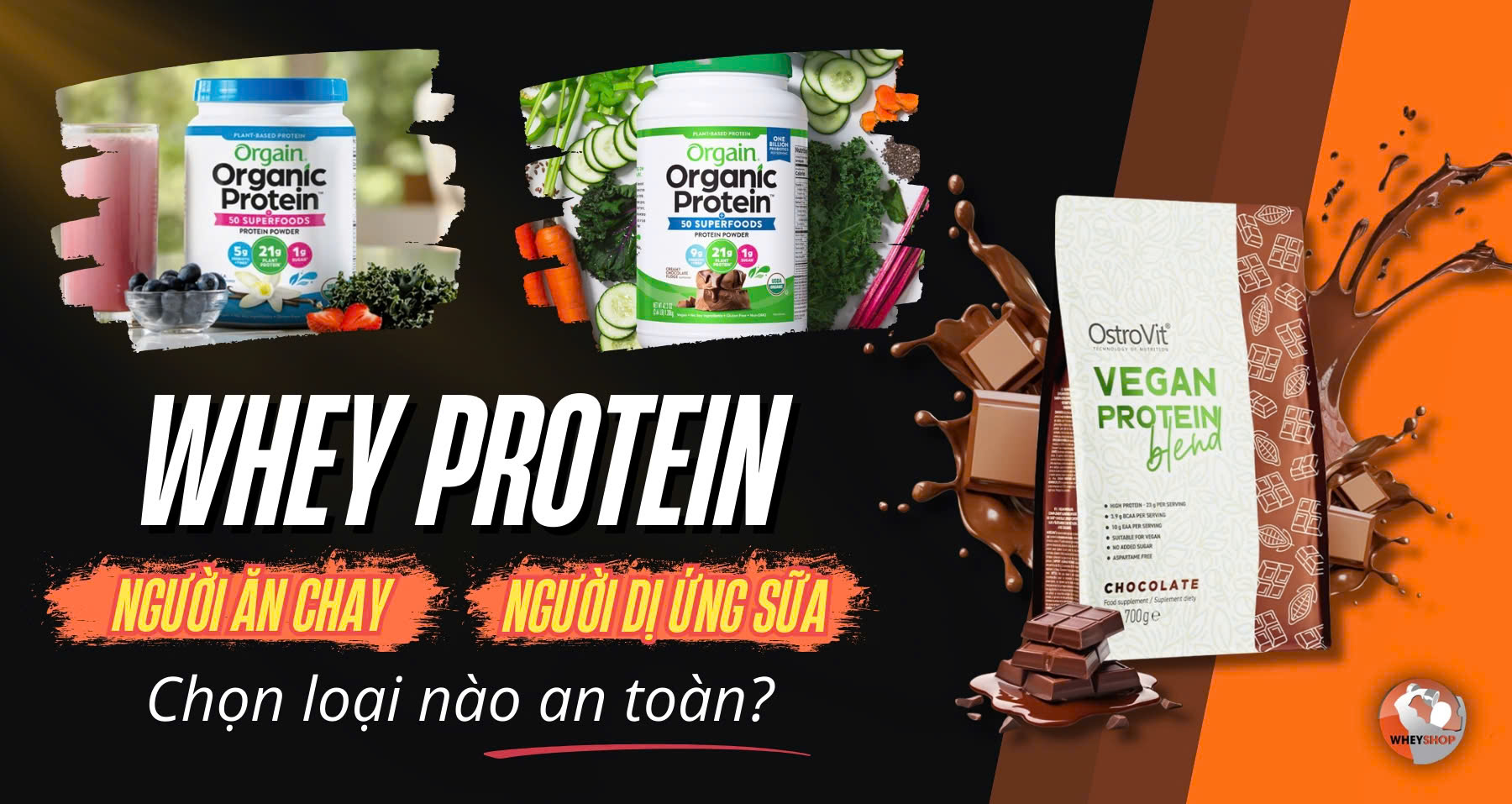Whey cho người ăn chay hoặc dị ứng sữa: Nên chọn loại nào an toàn?