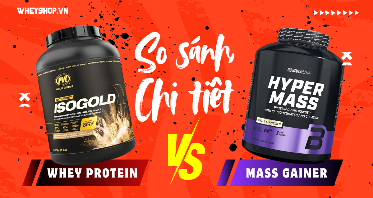 Whey Protein vs Mass Gainer: Khác nhau thế nào? Nên chọn loại nào đúng mục tiêu