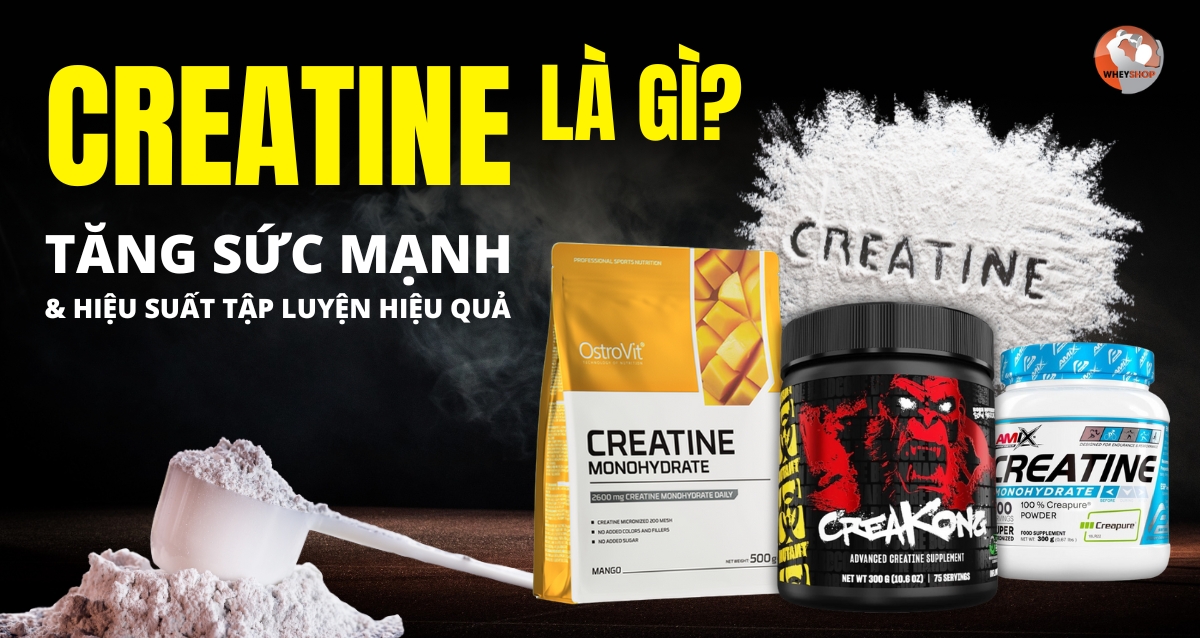Creatine là gì? Tăng sức mạnh và hiệu suất tập luyện hiệu quả