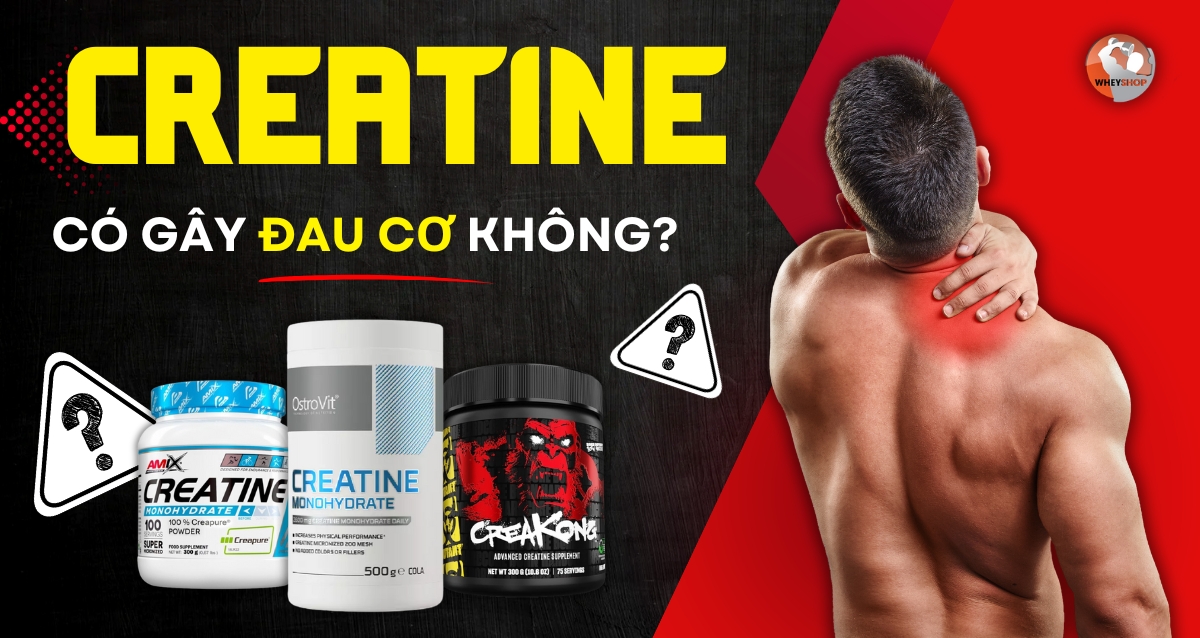 Creatine có gây đau cơ không?