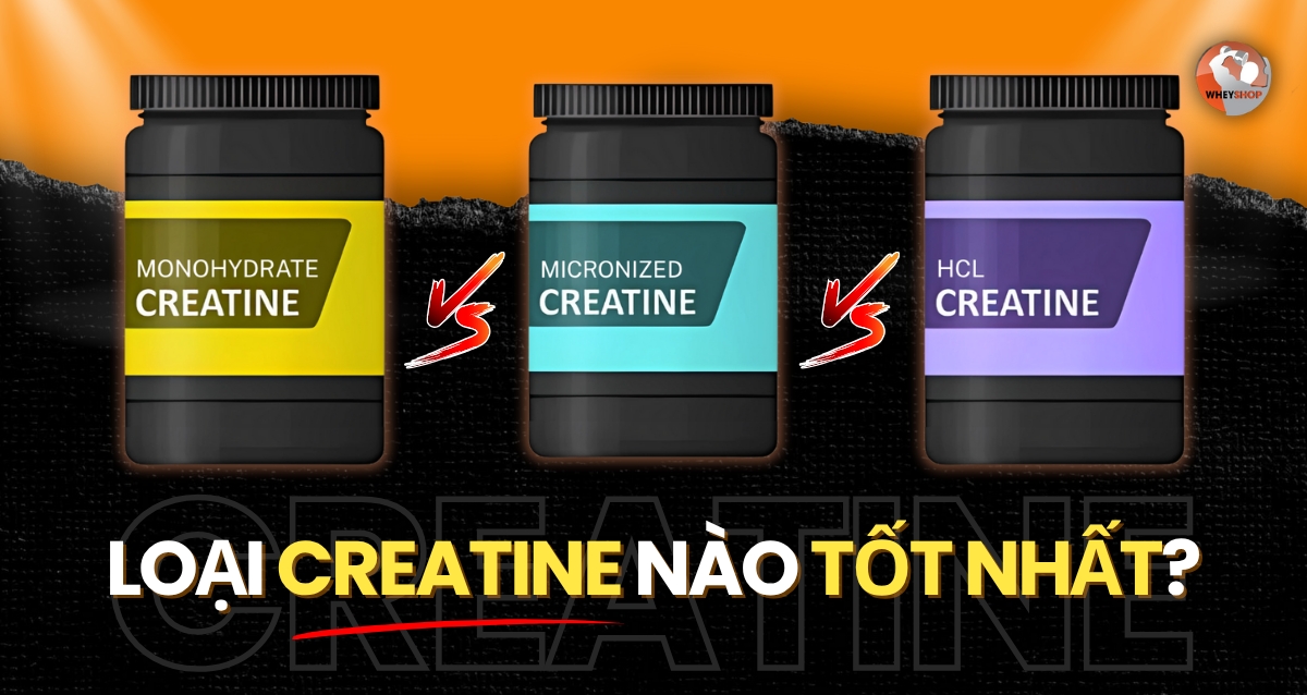 Creatine Monohydrate vs Micronized vs HCL – Loại nào tốt nhất?