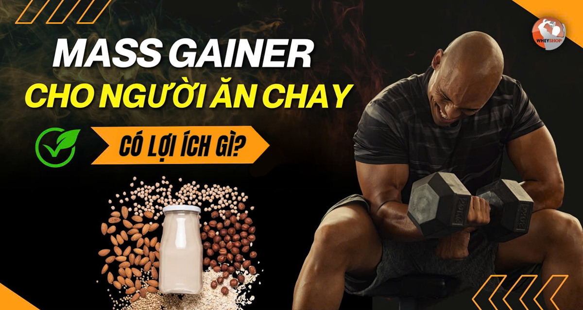Mass Gainer dành cho người ăn chay? Lợi ích của Mass Gainer chay