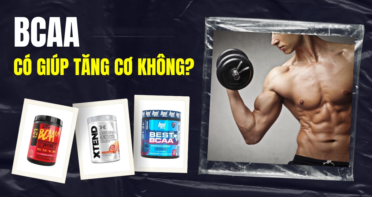 BCAA có giúp tăng cơ không?