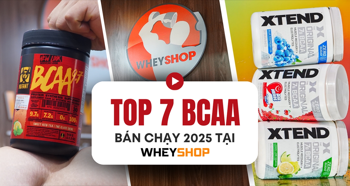 Top 7 dòng BCAA bán chạy 2025 tại WheyShop