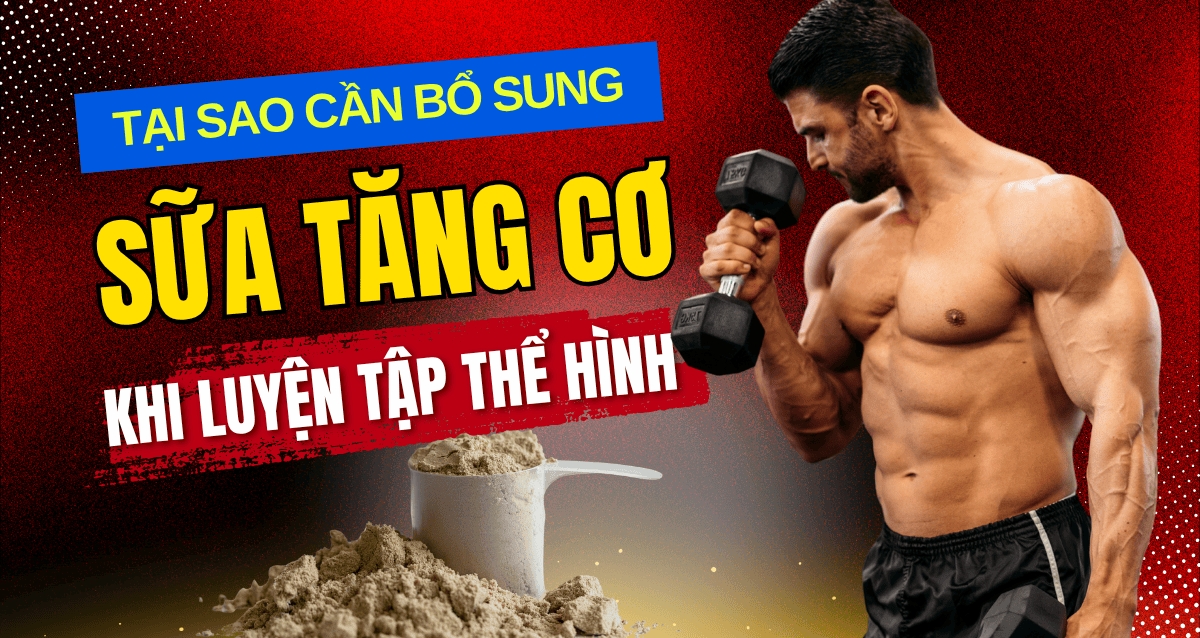 Tại sao cần bổ sung sữa tăng cơ khi luyện tập thể hình