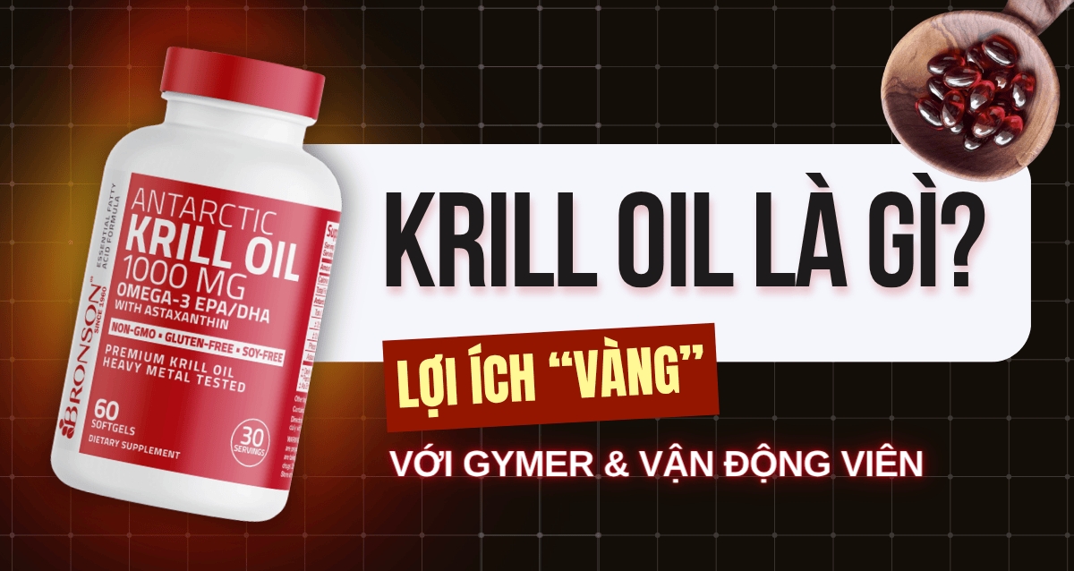 Krill Oil là gì? Lợi ích “vàng” của Krill Oil với gymer và vận động viên