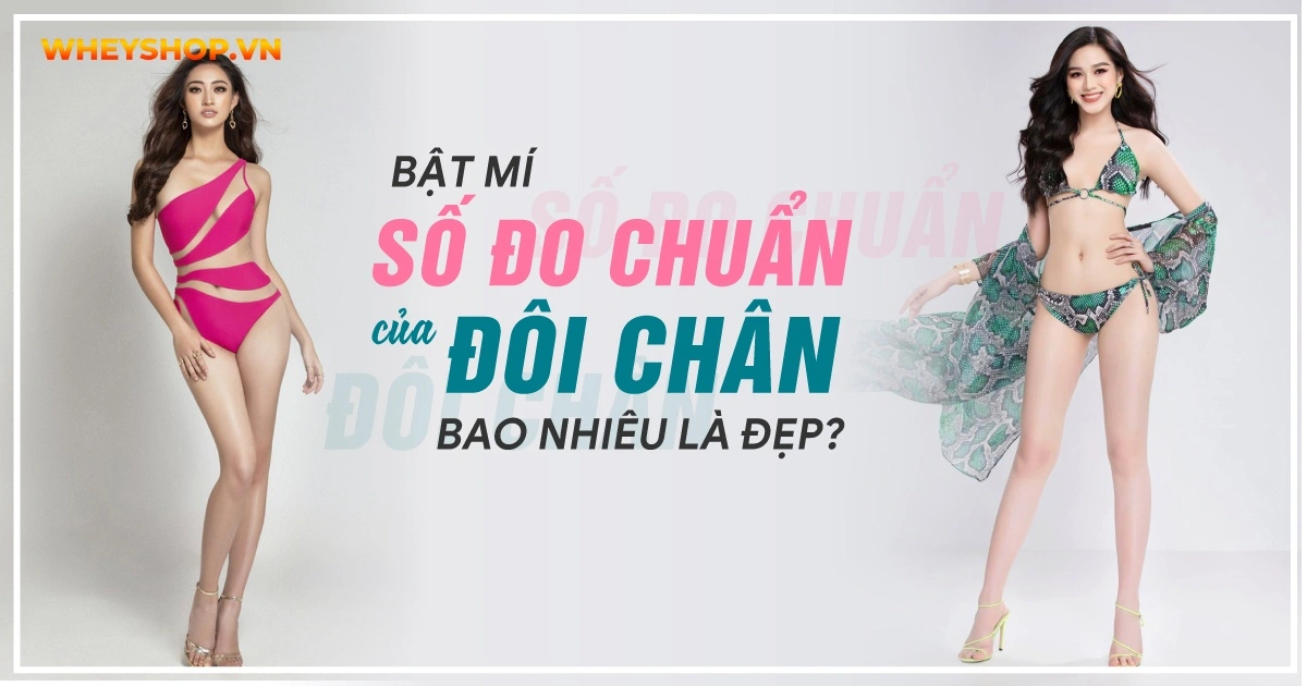 Bật mí số đo chuẩn của đôi chân bao nhiêu là đẹp?