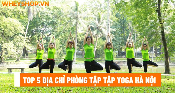 Top 5 địa chỉ phòng tập tập Yoga Hà Nội được yêu thích nhất