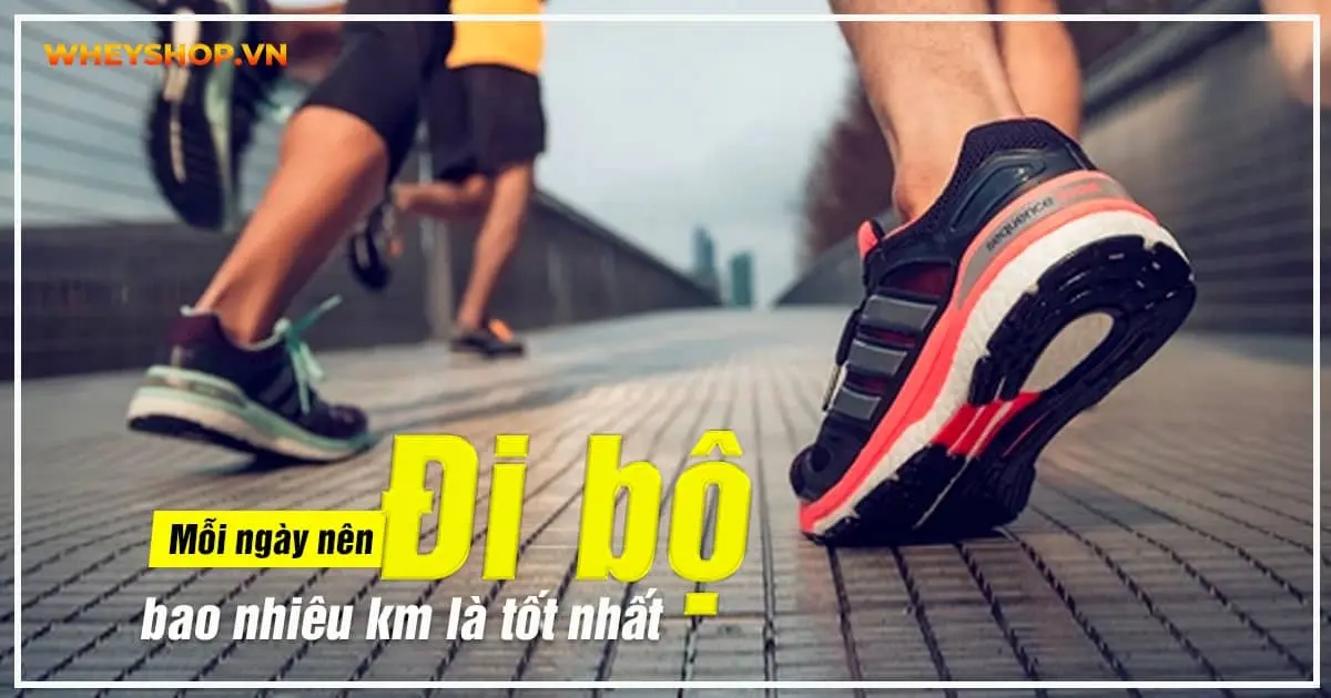Mỗi ngày nên đi bộ bao nhiêu km là tốt nhất