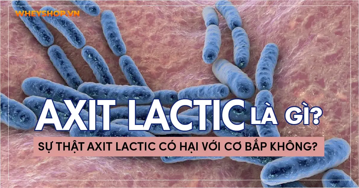 Axit Lactic là gì? Sự thật Axit Lactic có hại với cơ bắp không?
