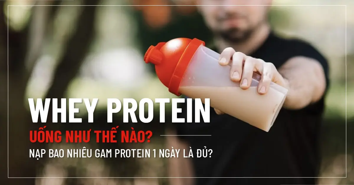 Whey Protein uống như thế nào? Nạp bao nhiêu gam protein 1 ngày là đủ?