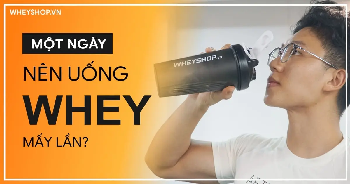 Một ngày nên uống Whey Protein mấy lần? Giải đáp chi tiết theo từng nhu cầu