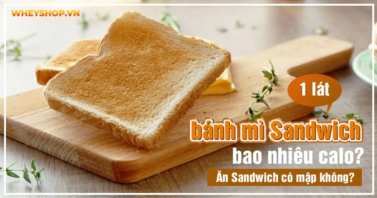 1 lát bánh mì Sandwich bao nhiêu calo? Ăn Sandwich có mập không?