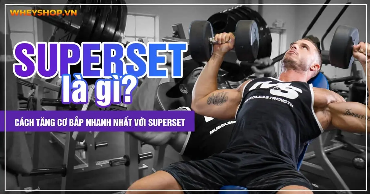 Superset là gì? Cách tăng cơ bắp nhanh nhất với Superset
