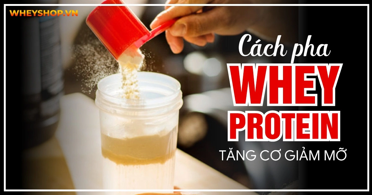 Cách pha Whey Protein tăng cơ giảm mỡ đúng cách, dễ uống