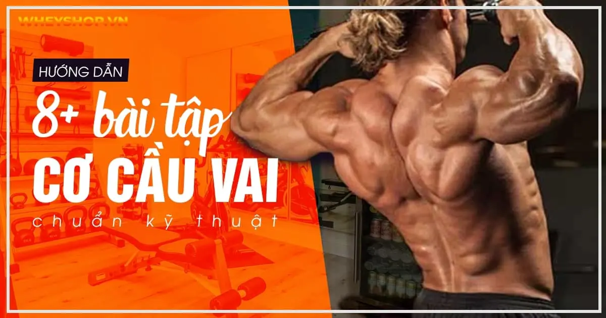 Hướng dẫn 8+ bài tập cơ cầu vai chuẩn kỹ thuật