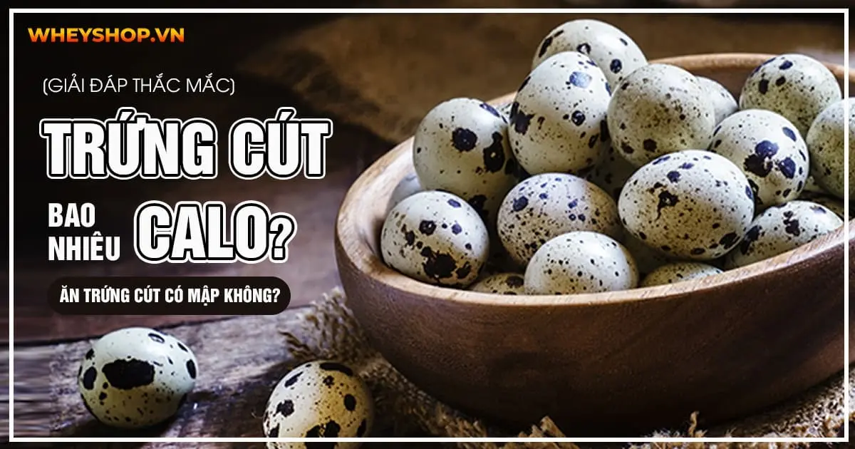 1 Quả trứng cút bao nhiêu calo? Ăn trứng cút có mập không?
