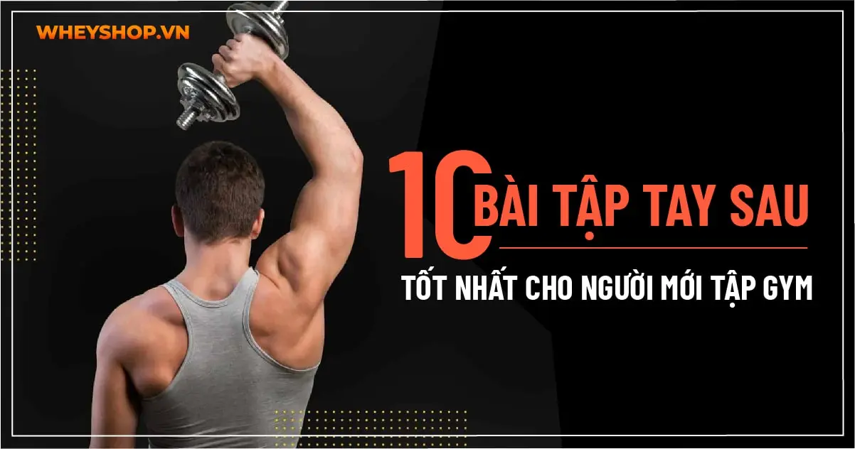10 Bài tập tay sau tốt nhất cho người mới tập gym
