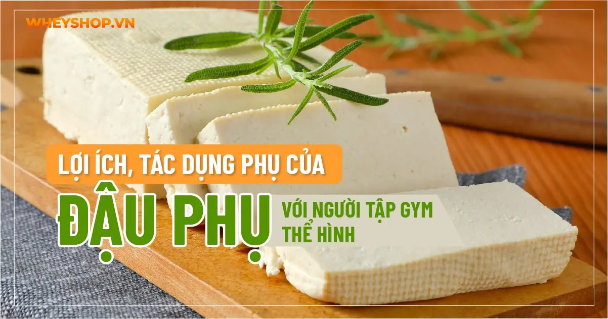 Lợi ích, tác dụng phụ của đậu phụ với người tập gym thể hình