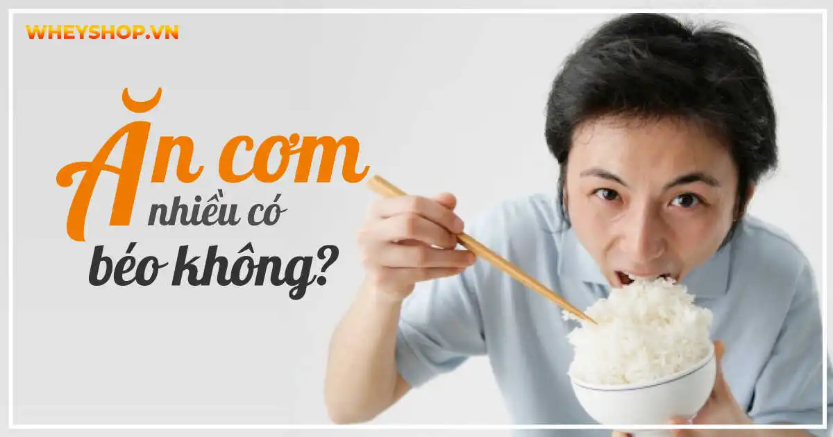 Ăn cơm nhiều có béo không? 3 cách ăn cơm để không lo béo
