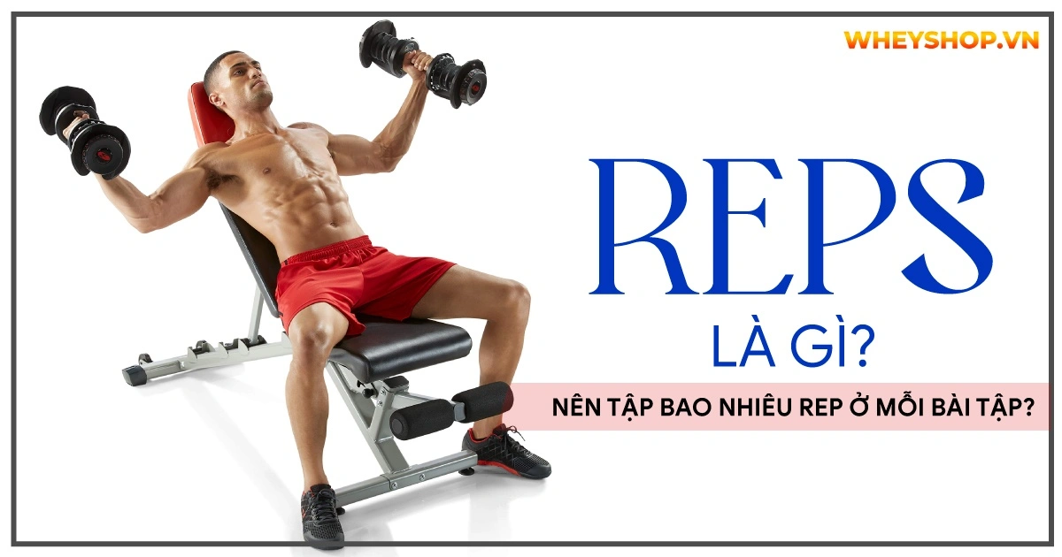 Reps là gì? Nên tập bao nhiêu rep ở mỗi bài tập?