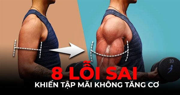 8 Lỗi sai khiến tập mãi không tăng cơ. Vì sao bạn tập đúng lịch mà cơ vẫn không phát triển?