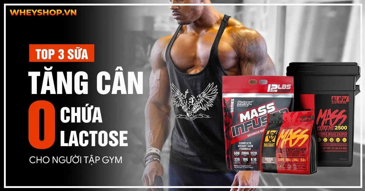 Top 3 sữa tăng cân không chứa lactose cho người tập gym