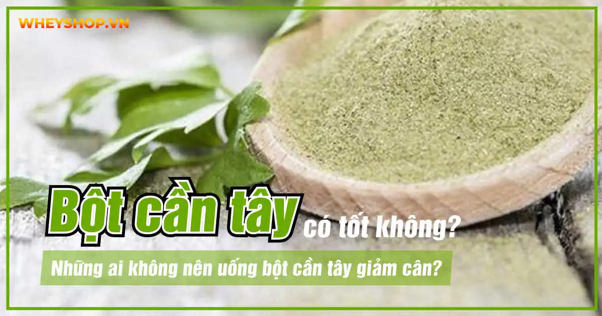 Uống bột cần tây có tốt không? Những ai không nên uống bột cần tây giảm cân?