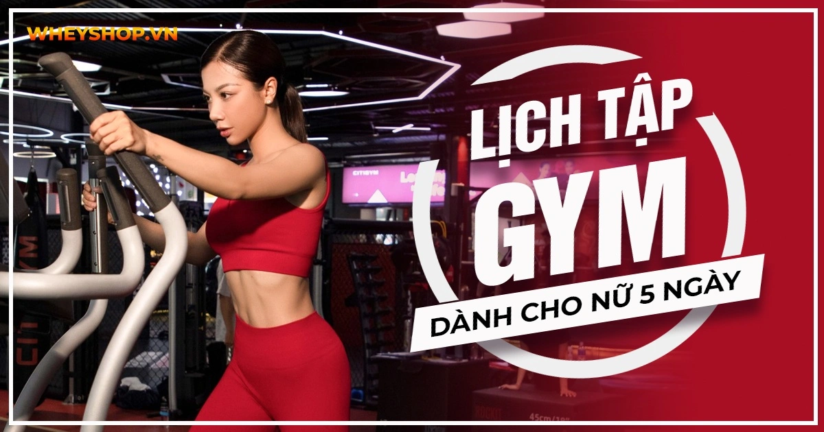 Lịch tập gym cho nữ 5 ngày giảm cân giảm mỡ