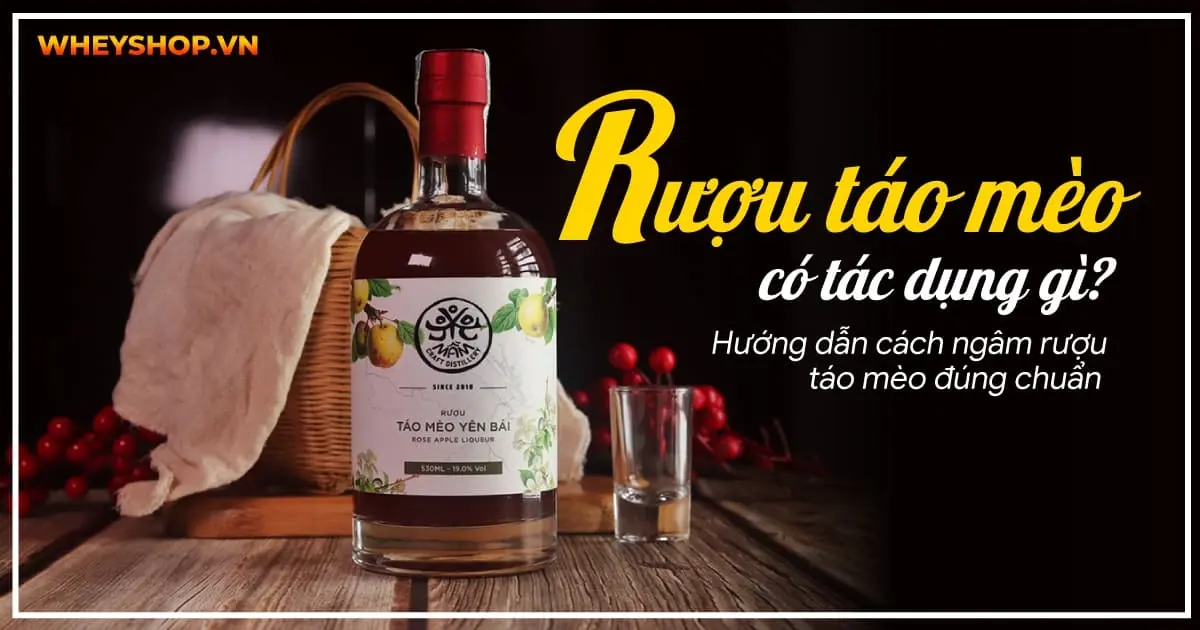 Rượu táo mèo có tác dụng gì? Hướng dẫn cách ngâm rượu táo mèo đúng chuẩn