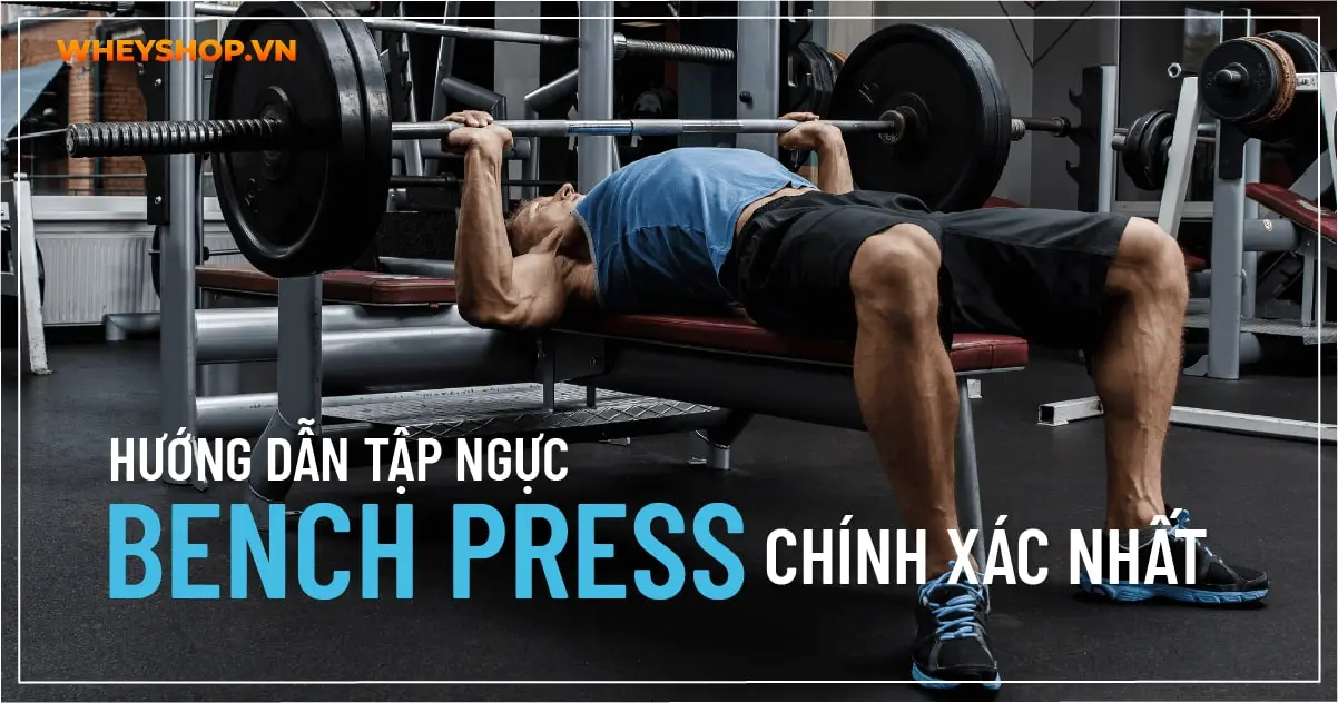 Hướng dẫn tập ngực Bench Press chính xác nhất