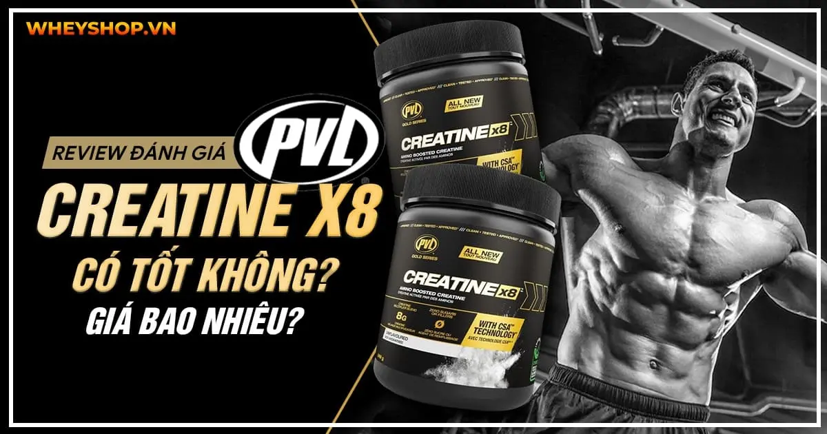 Review đánh giá PVL Creatine X8 có tốt không? Giá bao nhiêu?