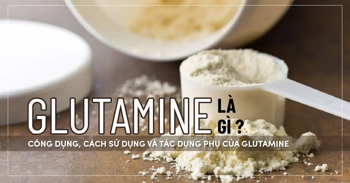 Glutamine là gì ? Công dụng, cách sử dụng và tác dụng phụ của Glutamine