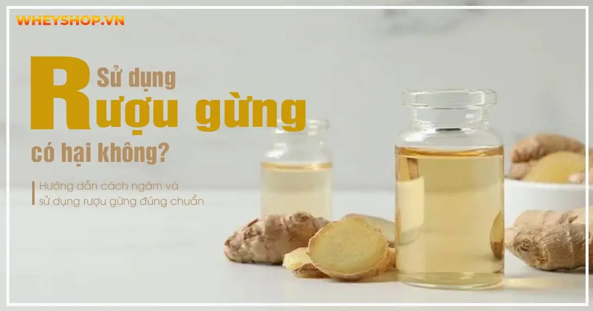 Sử dụng rượu gừng có hại không? Hướng dẫn cách ngâm và sử dụng rượu gừng đúng chuẩn
