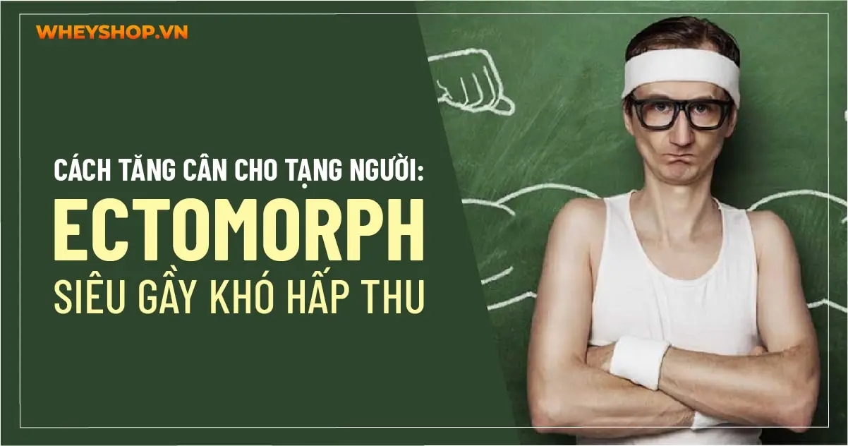 Cách tăng cân cho: Tạng người Ectomorph siêu gầy khó hấp thu