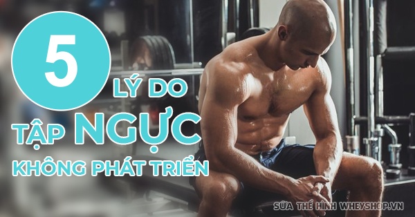 Mắc phải 5 lý do này thì tập ngực bao nhiêu cũng không phát triển
