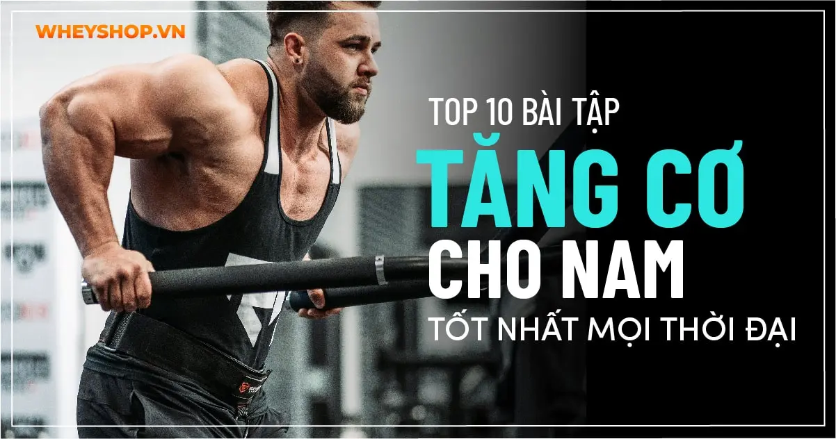 Top 10 bài tập tăng cơ cho nam tốt nhất mọi thời đại
