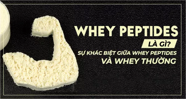 Whey Peptides là gì? Sự khác biệt giữa Whey Peptides và Whey Protein thông thường