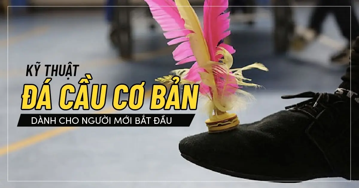 Kỹ thuật đá cầu cơ bản dành cho người mới bắt đầu