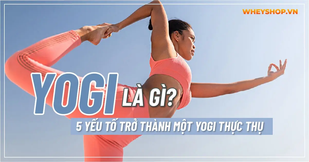 Yogi là gì? 5+ yếu tố để trở thành một Yogi thực thụ