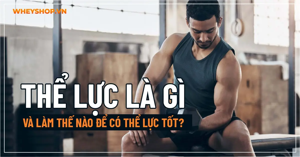 Thể lực là gì và làm thế nào để có thể lực tốt?