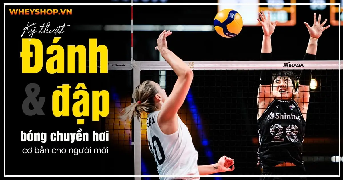 Kỹ thuật đánh và cách đập bóng chuyền hơi cơ bản cho người mới