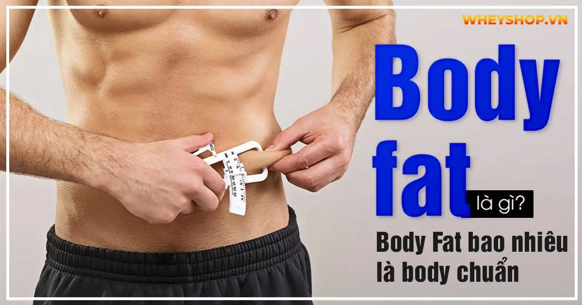 Body Fat là gì? Body Fat bao nhiêu là body chuẩn