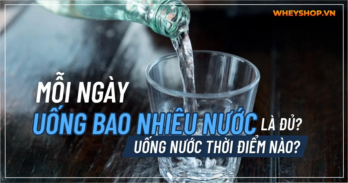 Mỗi ngày uống bao nhiêu nước là đủ? Uống nước thời điểm nào?