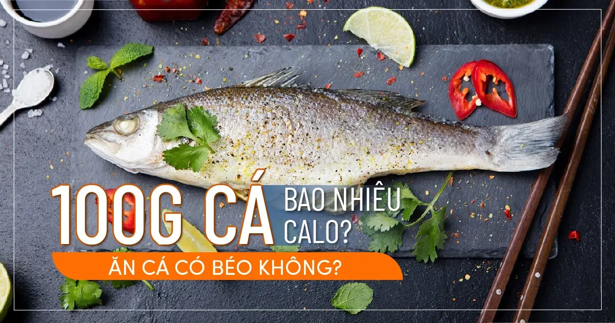 100g cá bao nhiêu calo? Ăn cá có béo không?